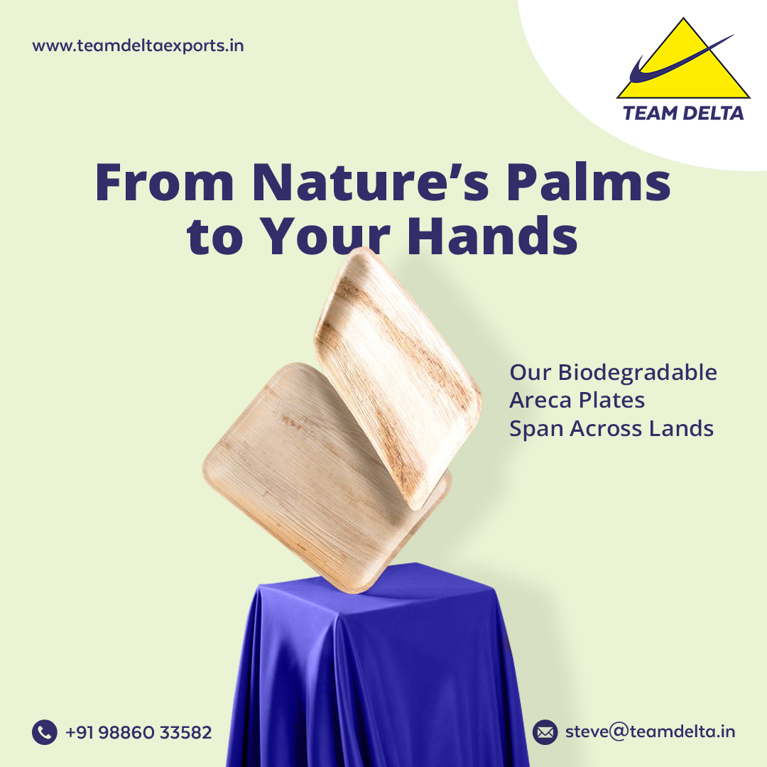 From-Nature-Plam-to-your-hands